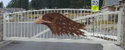 Eagle design cut with plasma cutter and powder coated for a quality long lasting gate